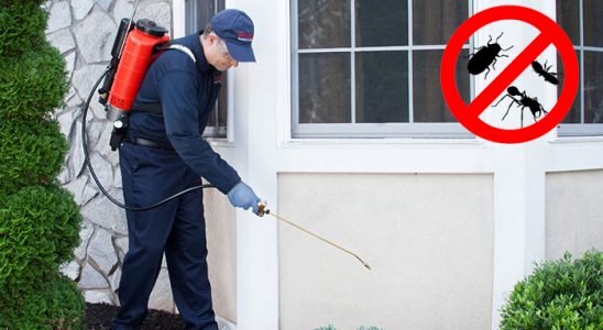Alaybey Kemirgen İlaçlama böcek ilaçlama ve haşere kontrolü — ilaclama-tr.com